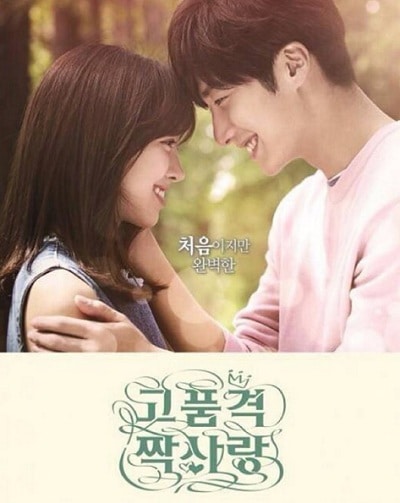 Korean drama dvd: High end crush, english subtitle