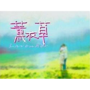 Taiwan drama dvd: Lavender, english subtitle