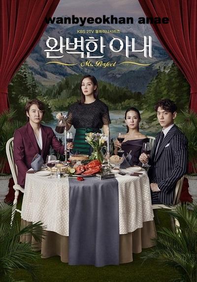 Korean drama dvd: Perfect wife, english subtitle