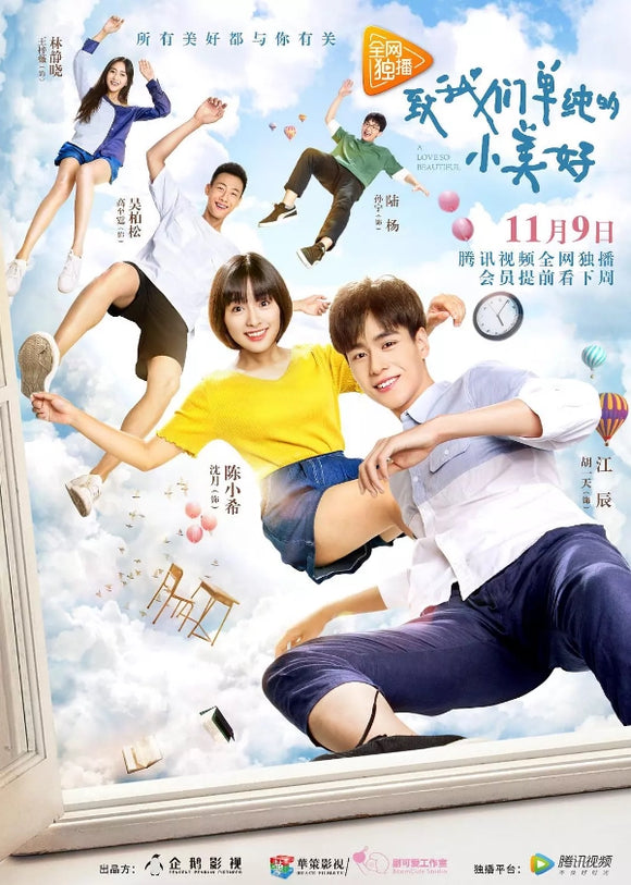 Chinese drama dvd: A love so beautiful, english subtitle
