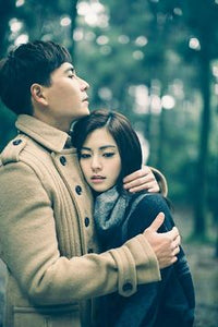 Taiwan drama dvd: Someone like you, english subtitle