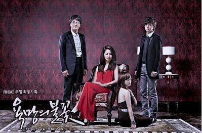 Korean drama dvd: Flames of ambition, english subtitle