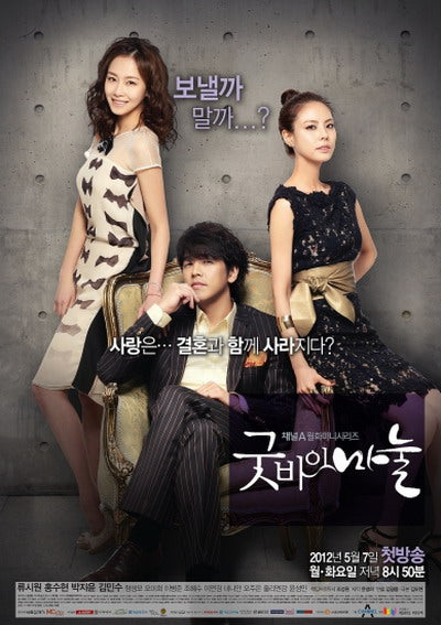 Korean drama dvd: Goodby Dear Wife, english subtitle