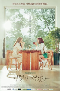 Korean drama dvd: Goodbye to goodbye, english subtitle