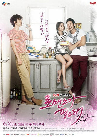 Korean drama dvd: I need romance 2012, english subtitle