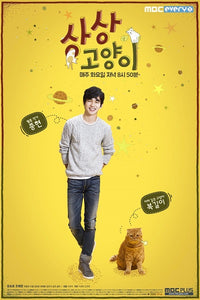 Korean drama dvd: Imaginary cat, english subtitle