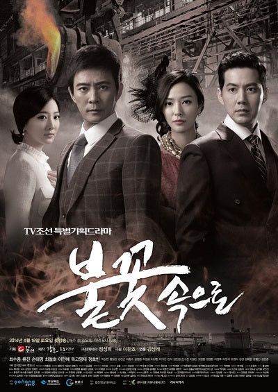 Korean drama dvd: Into the flames, english subtitle