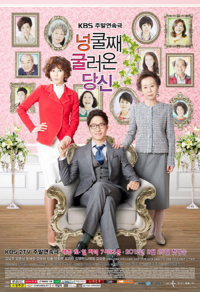 Korean drama dvd: My husband got a family, english subtitle