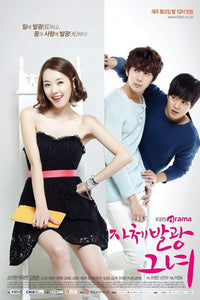 Korean drama dvd: My Shining girl, english subtitle