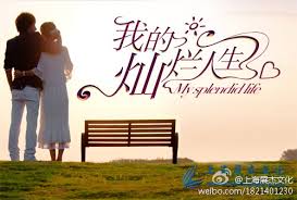 Taiwan drama dvd: My splendid life, chinese subtitle