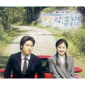 Korean drama dvd: Successful story of a bright girl, english subtitle