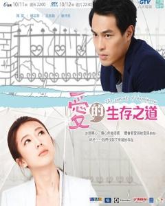 Taiwan drama dvd: The pursuit of happiness, english subtitle