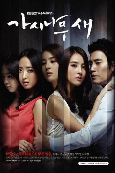 Korean drama dvd: The thorn bush bird, english subtitle