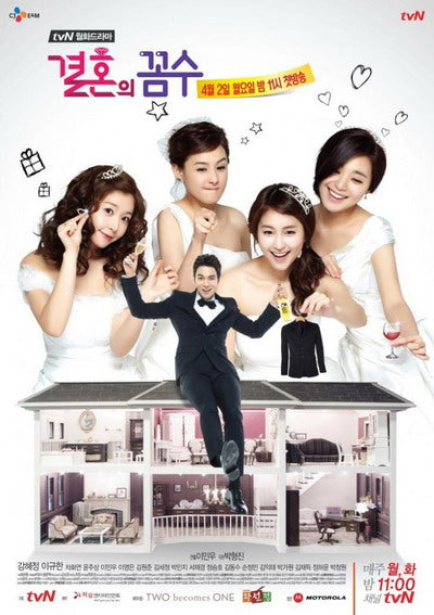 Korean drama dvd: The Wedding Scheme, english subtitle