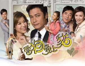 Hongkong TVB drama dvd: When a dog loves a cat, chinese subtitle