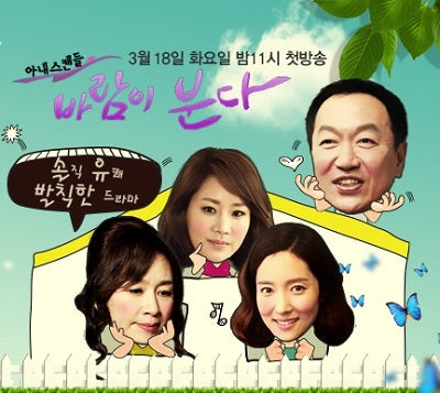 Korean drama dvd: Wife scandal, english subtitle